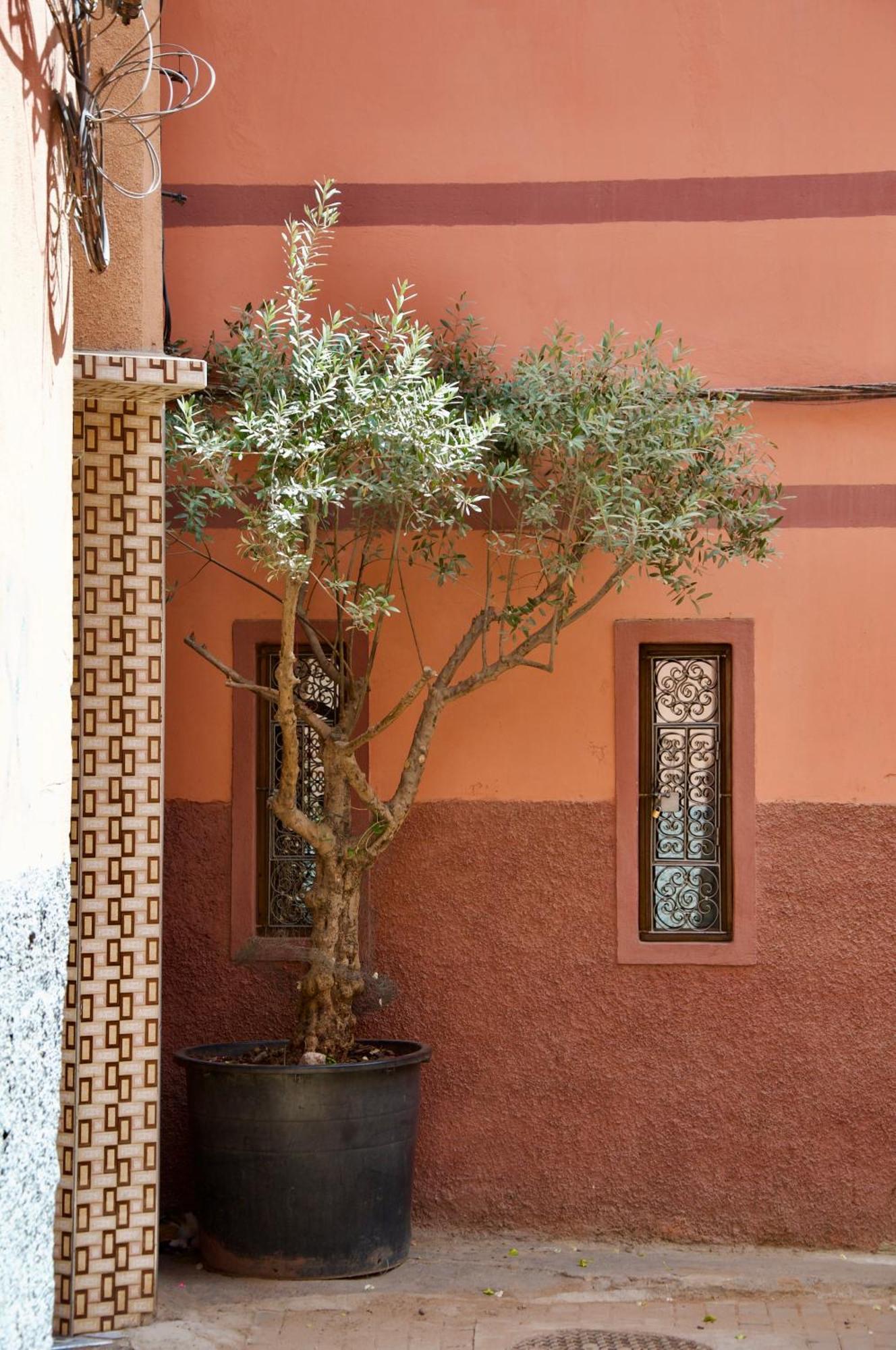 Hotel La Claire Fontaine Marrakesz Zewnętrze zdjęcie